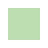 PAPYRUS Rainbow Papier FSC A4 88042630 mittelgrün, 80g 500 Blatt