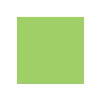 PAPYRUS Rainbow Papier FSC A4 88042652 80g, grün 500 Blatt