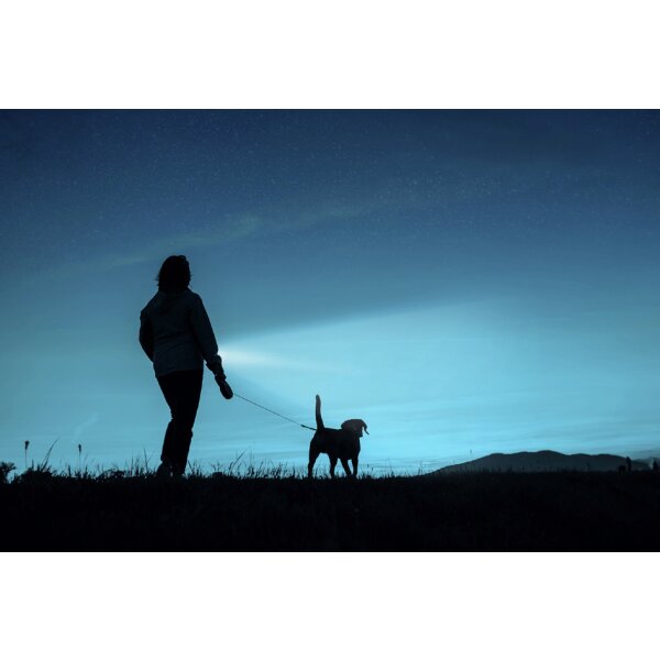 ANSMANN Lampe de poche LED, Daily Use 270B, argent/noir