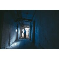 ANSMANN Lampe de poche LED, Daily Use 270B, argent/noir