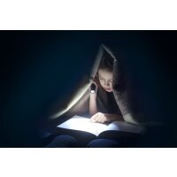 ANSMANN Lampe de poche LED, Daily Use 270B, argent/noir