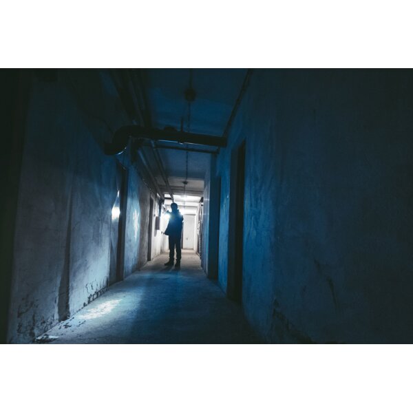 ANSMANN Lampe de poche LED, Daily Use 300B, argent/noir