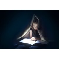 ANSMANN Lampe de poche LED, Daily Use 300B, argent/noir