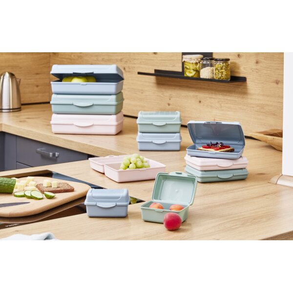 keeeper Bo&icirc;te &agrave; go&ucirc;ter luca, Click-Box micro, nordic-pink