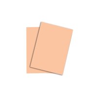 PAPYRUS Rainbow Papier FSC A4 88043105 120g, lachs 250 Blatt