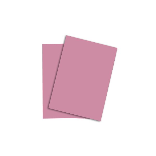 RAINBOW Papier rosa/55 A4 88043107 120g, rosa 250 Blatt