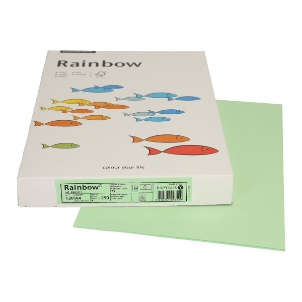 RAINBOW Papier vert moyen/75 A4 88043111 FSC, 120g 250 feuilles