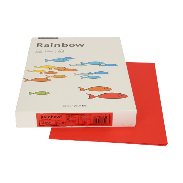 RAINBOW Papier rouge vif/28 A4 88043132 160g, rouge 250 feuilles