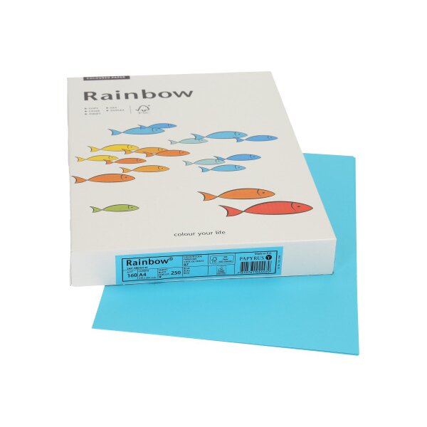 RAINBOW Papier bleu/87 A4 88043144 FSC, 160g 250 feuilles