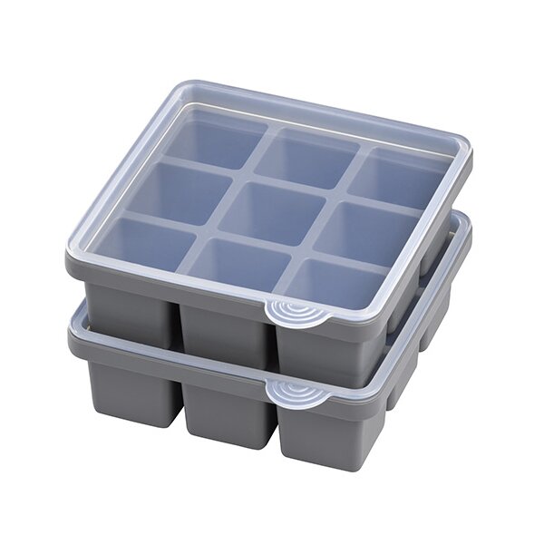 APS Bac à glaçons avec couvercle, transparent / gris