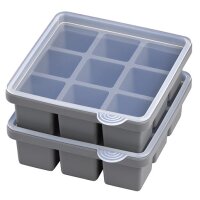 APS Bac à glaçons avec couvercle, transparent / gris