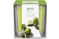 IPURO Bougie parfumée Essentials 051.1203 lime...