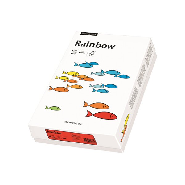 RAINBOW Papier lachs/40 A3 88042500 80g, lachs 500 Blatt