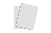 PAPYRUS Rainbow Paper FSC A3 88042786 80g, gris 500 feuilles
