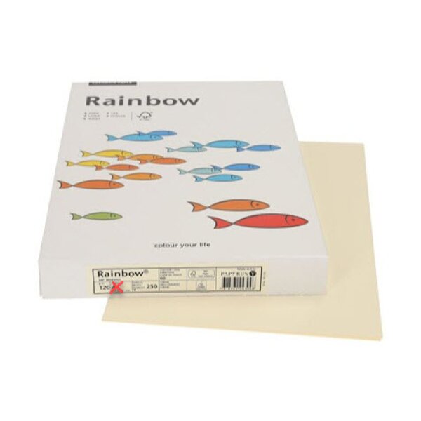 RAINBOW Papier chamois clair/03 A3 88042255 FSC, 120g 250 feuilles