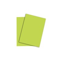 PAPYRUS Rainbow Papier FSC A3 88042613 leuchtend...