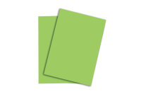 PAPYRUS Rainbow Papier FSC A3 88042657 120g, grün...