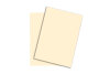 PAPYRUS Rainbow Paper FSC A3 88042258 160g, chamois 250 feuilles