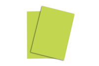 PAPYRUS Rainbow Paper FSC A3 88042616 160g, vert 250...