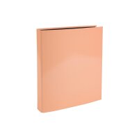 EXACOMPTA Classeur anneaux Aquarel 4cm 51560E 4 anneaux assorti A4
