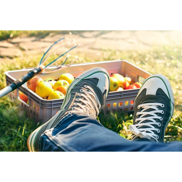 keeeper Corbeille de rangement robert, nordic-grey