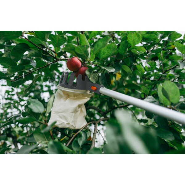 Bradas Cueille-fruits, à manche télescopique, argent/orange