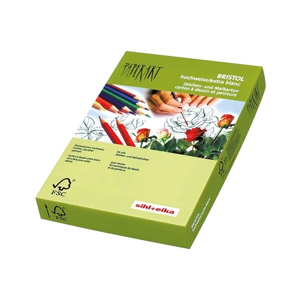 PAPYRUS Carton Bristol A4 88077854 240g, blanc 250 feuilles