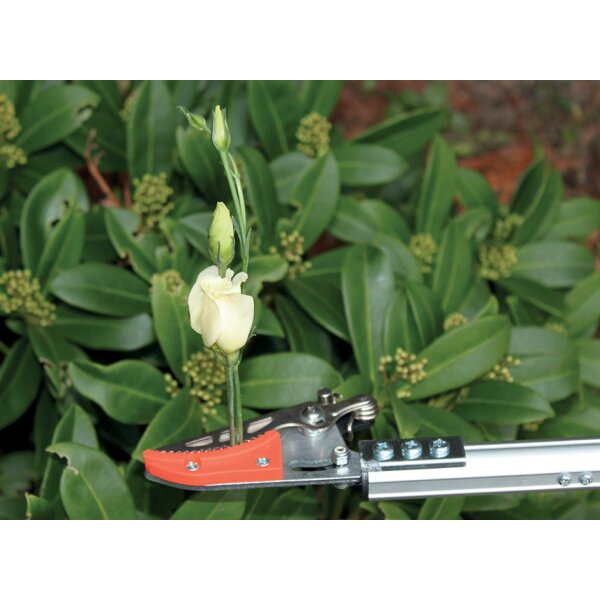 Garten PRIMUS Ersatzschneidekopf für Rosenkavalier