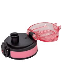 ROTH Gourde isotherme tyrannosaure, 350 ml