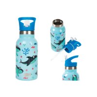 UNDERCOVER KIDS Bouteille deau 350ml ID0506 Shark
