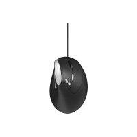 RAPOO EV200 Vertical Mouse 13532 wired