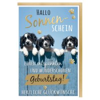 SUSY CARD Geburtstagskarte Humor Mischlingshunde