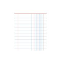 BÜROLINE Cahier E5 533875010 2 colonne 90g