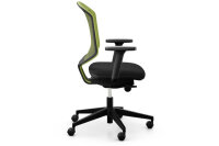 GIROFLEX Chaise de bureau 434 Chair2Go 434-3019-C2G vert