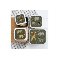 ALLC Lunch & snack box set SBSESA46 Savanna