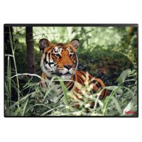 KOLMA Sous-main 50x34cm 35.573.20 Tigre