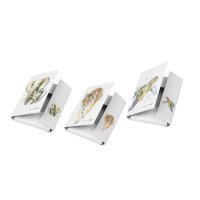 PAGNA Sammelbox sortiert Save me A4 21351-25 Save me No.3...