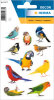 HERMA Sticker DECOR Oiseaux, en papier