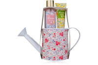 ACCENTRA Bath Set Blossom 6057686 Scent : Wild flower meadow