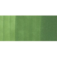 COPIC Marker Classic 20075205 YG67 - Moss