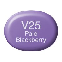 COPIC Marker Sketch 21075362 V25 - Pale Blackberry
