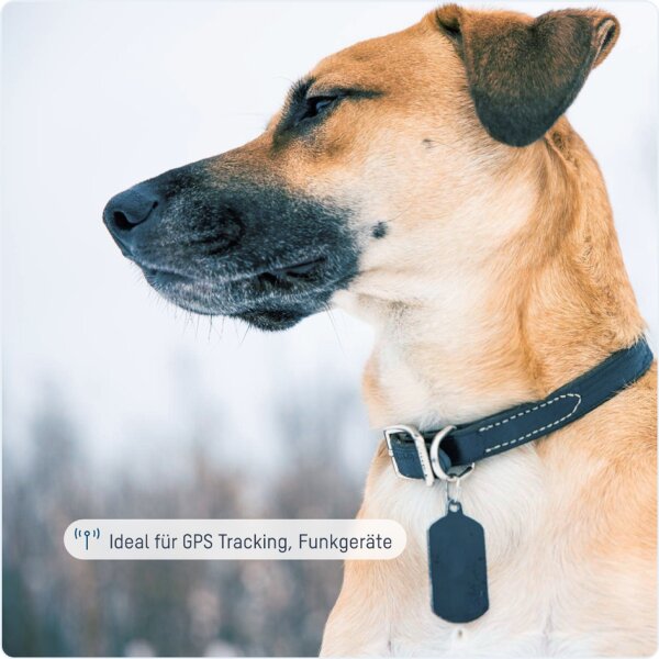 ANSMANN Pile alcaline 4LR44, 6 V, en lot de 8