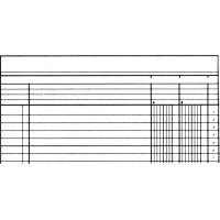 SIMPLEX Statistikbuch A4 19082 2 Kolonnen, grün 40...