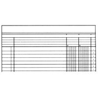 SIMPLEX Statistikbuch A4 19082 2 Kolonnen, grün 40...