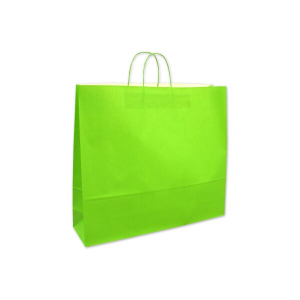ELCO Sac de transport 550x150x490mm 84206.45 vert 25 pi&egrave;ces