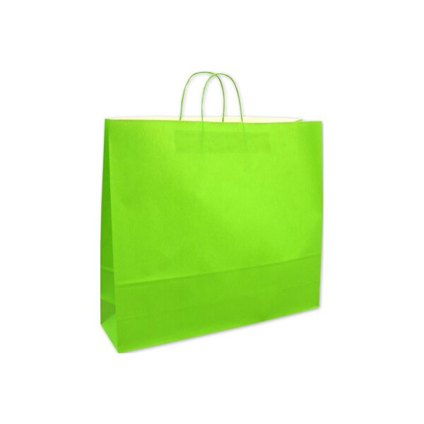 ELCO Sac de transport 450x150x490mm 84202.45 vert 25 pi&egrave;ces