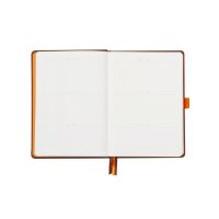 RHODIA Notizbuch Goalbook HC A5 118572C schokobraun, dots 120 Blatt