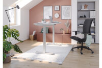 APOLLO Table de bureau ONE 120x67cm VXMST612/W/S blanc/argent électrique