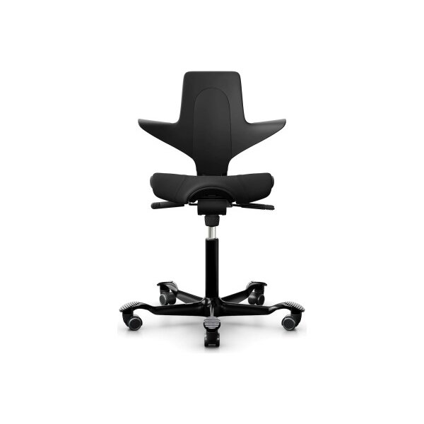HAG Sitzbezug zu Capisco Puls 108037 schwarz