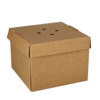 PAPSTAR Burgerbox "pure" faltbar, Masse: 130 x...